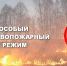 С 28 апреля по 11 мая будет действовать особый противопожарный режим в Ульяновской области - Газета Вешкаймские вести