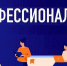 В Ульяновской области стартовала приёмная кампания проекта «Профессионалитет» - Газета Вешкаймские вести