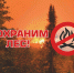 Земляки, сохраним лес от пожаров - Газета Вешкаймские вести