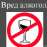 Медицинский психолог Ульяновской наркологической больницы Елена Макарова: "Алкоголь крайне негативно влияет на интеллект, психику и здоровье подростка" - Газета Вешкаймские вести
