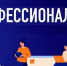 Ульяновский авиационный колледж вошел в шестерку ведущих образовательных учреждений страны – кластеров-наставников федерального проекта «Профессионалитет» - Газета Вешкаймские вести