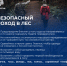 Безопасный поход в лес - Вешкаймский район