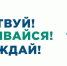 В Ульяновской области проходит региональный этап Интеллектуальной олимпиады ПФО среди школьников - Газета Вешкаймские вести