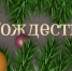 Счастливого Рождества! - Газета Вешкаймские вести