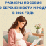 С января 2026 года Отделение СФР по Ульяновской области выплачивает пособие по беременности и родам в повышенном размере. - Вешкаймский район